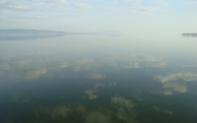 Haltelepítési beszámoló: sügeret telepítettek a Balatonba