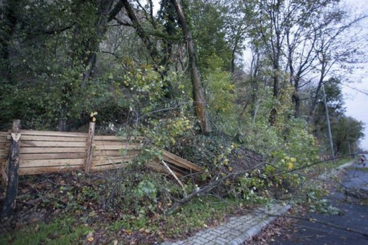 Vihar - Autókra, villanyvezetékre, utakra dőltek fák Zalában