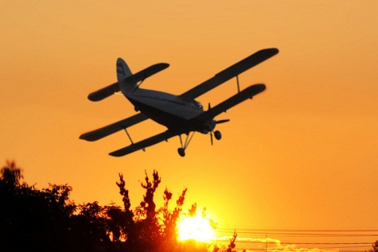 Szúnyogok - Hatékony volt az elvégzett kémiai irtás a Balatonon