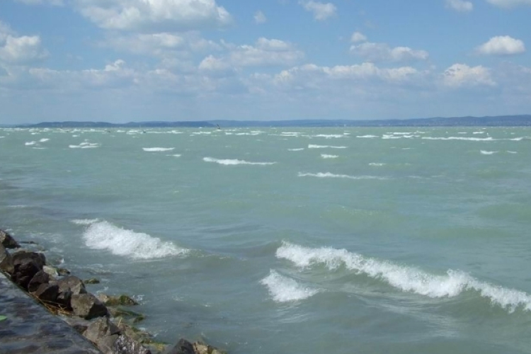 Hőség - Kisebb kagylópusztulás a Balaton nyugati öblében