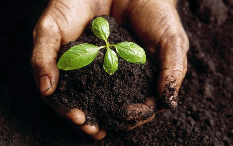 Komposztakció a KETÉH Kft-nél