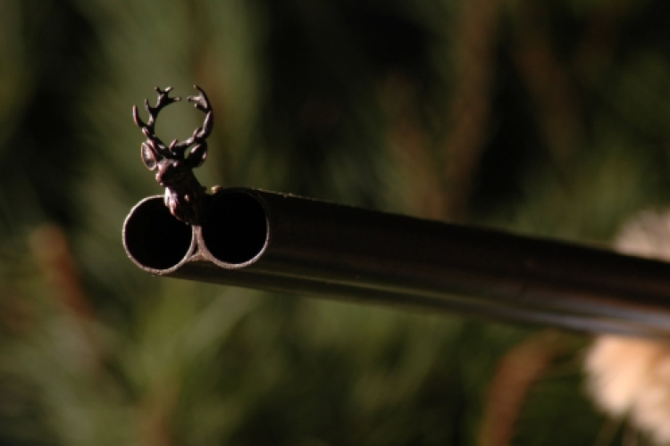 Vadászbalesetben könnyebben megsérült egy fiatal lány Zalaudvarnokon