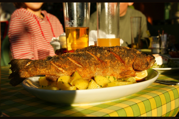 Fellendült a magyar halfogyasztás a Balatonnál