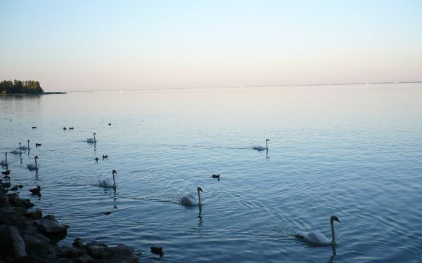 Elkezdték apasztani a Balaton vizét