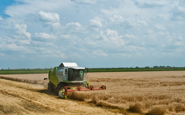 Rekordmennyiségű, kiváló minőségű búzát arattak Zalában
