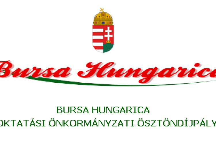 Bursa Hungarica Ösztöndíjpályázat 2014
