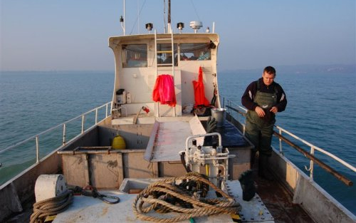 Balatoni önkorlátozás: beszüntetik a busahalászatot